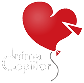 Asociația Inima Copiilor
